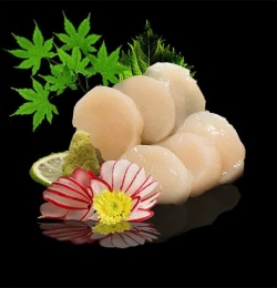 CỒI SÒ ĐIỆP NHẬT NISSI  ( SASHIMI ) 1 KG